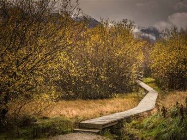 Glenorchy Lagoon Scenic Walkway
